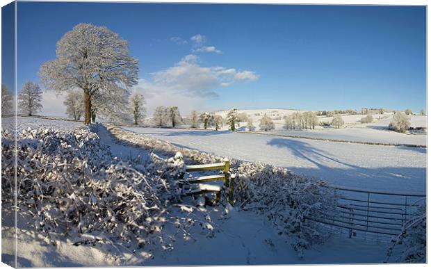 Farmland in Mid Devon in mid winter Canvas Print by Pete Hemington