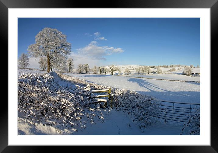 Farmland in Mid Devon in mid winter Framed Mounted Print by Pete Hemington