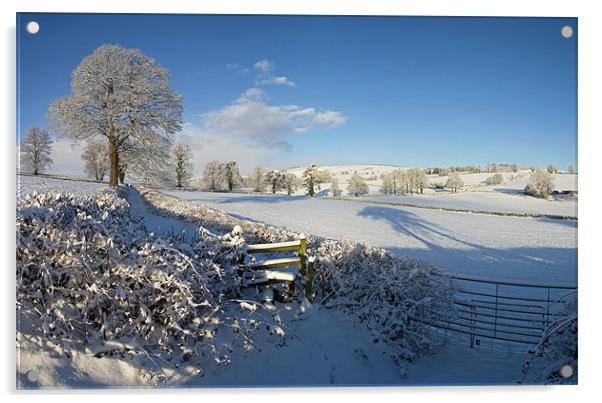 Farmland in Mid Devon in mid winter Acrylic by Pete Hemington