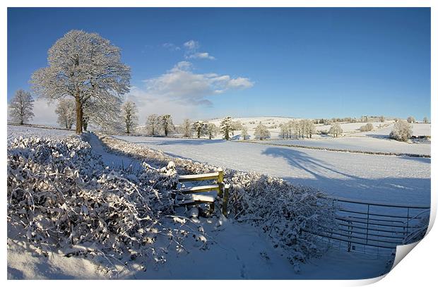 Farmland in Mid Devon in mid winter Print by Pete Hemington