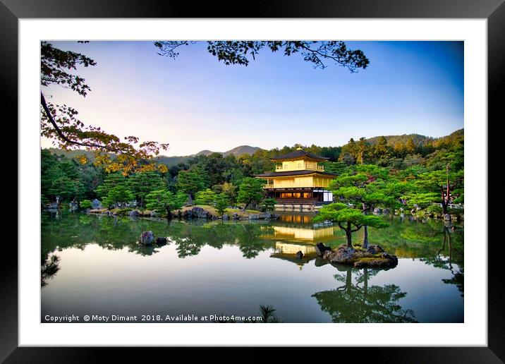 Kinkaku-ji Golden Pavilion Kyoto Japan             Framed Mounted Print by Moty Dimant