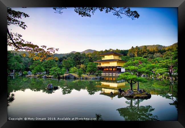 Kinkaku-ji Golden Pavilion Kyoto Japan             Framed Print by Moty Dimant