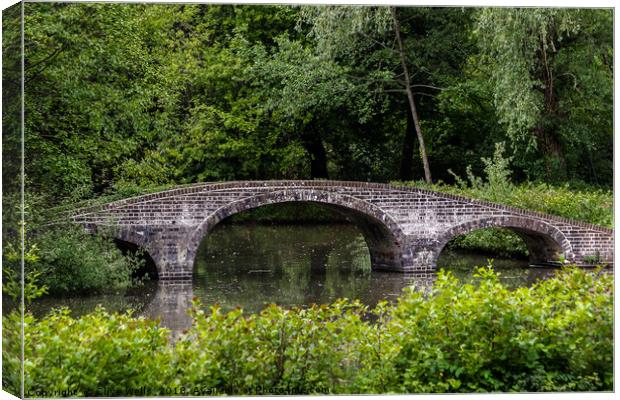 Chinese Bridge in Staunton Park Canvas Print by Clive Wells