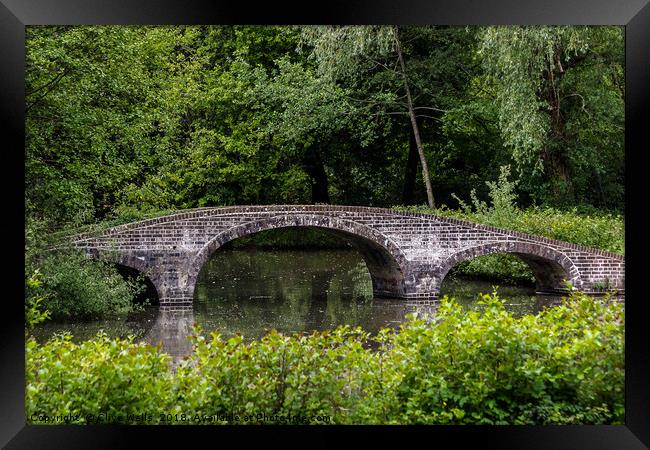 Chinese Bridge in Staunton Park Framed Print by Clive Wells