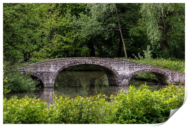 Chinese Bridge in Staunton Park Print by Clive Wells
