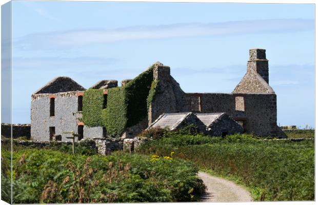 Old building seen on the island of Skomer in West  Canvas Print by Clive Wells