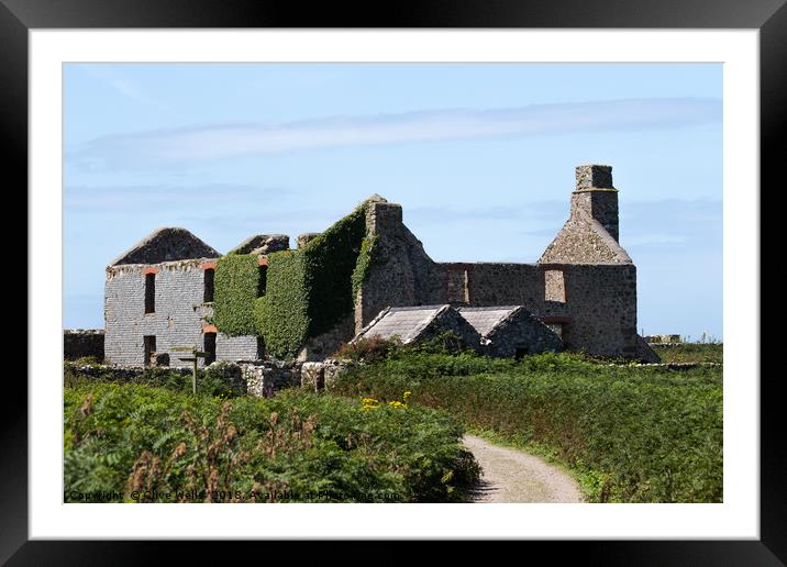 Old building seen on the island of Skomer in West  Framed Mounted Print by Clive Wells