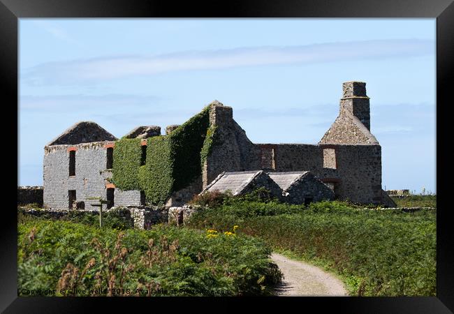 Old building seen on the island of Skomer in West  Framed Print by Clive Wells