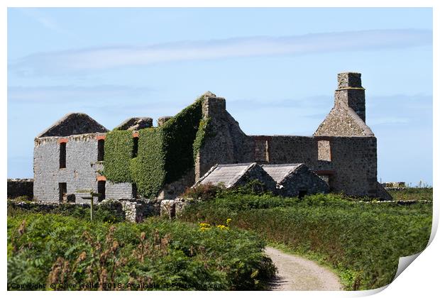 Old building seen on the island of Skomer in West  Print by Clive Wells