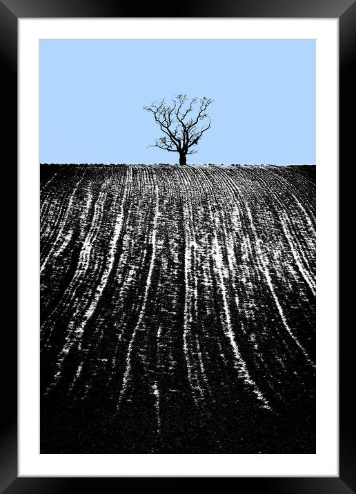 single tree in field Framed Mounted Print by mike morley