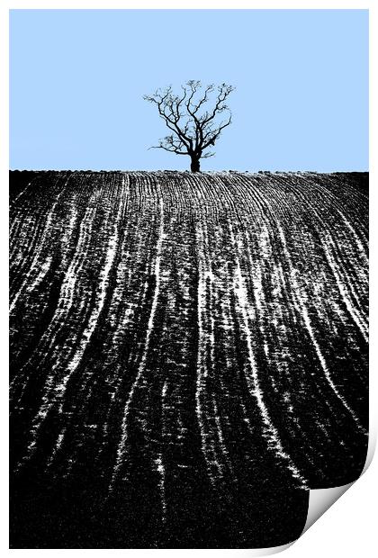 single tree in field Print by mike morley