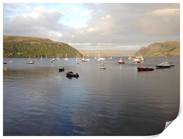 Portree harbour  Print by George Greenall
