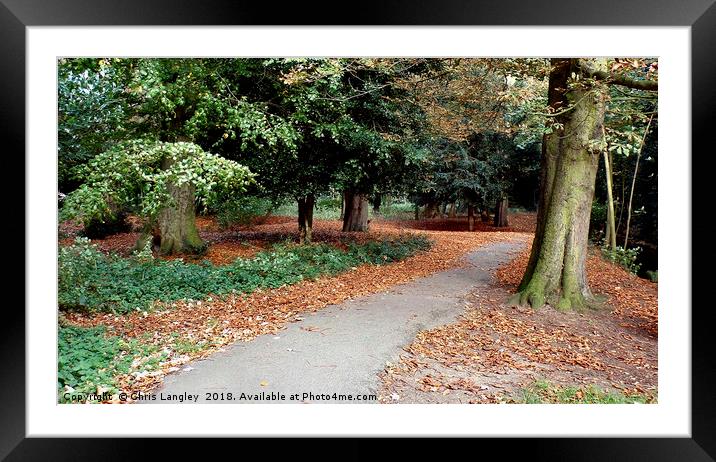 Autumnal walk in the park Framed Mounted Print by Chris Langley