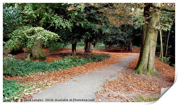 Autumnal walk in the park Print by Chris Langley