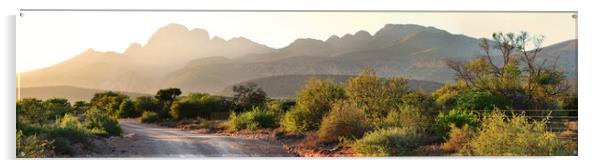 Sunrise on Karoo farm Acrylic by Sue Hoppe