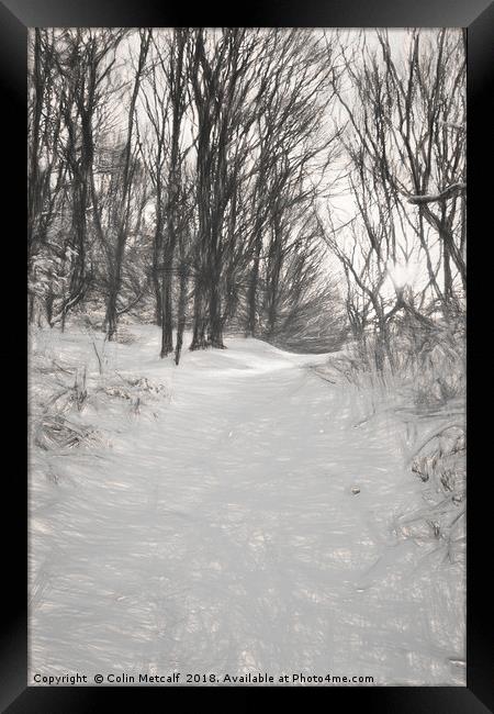 Snowy Walk Framed Print by Colin Metcalf