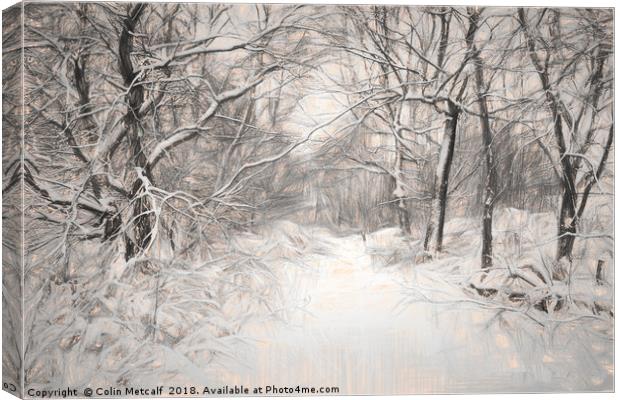 Snowy Walk Canvas Print by Colin Metcalf