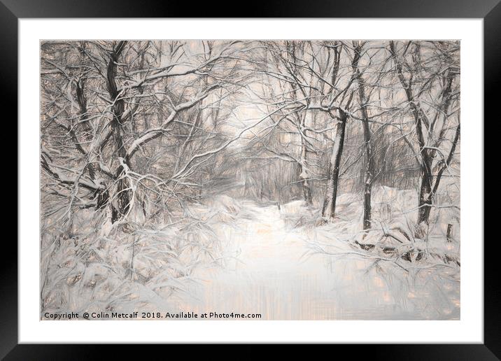 Snowy Walk Framed Mounted Print by Colin Metcalf