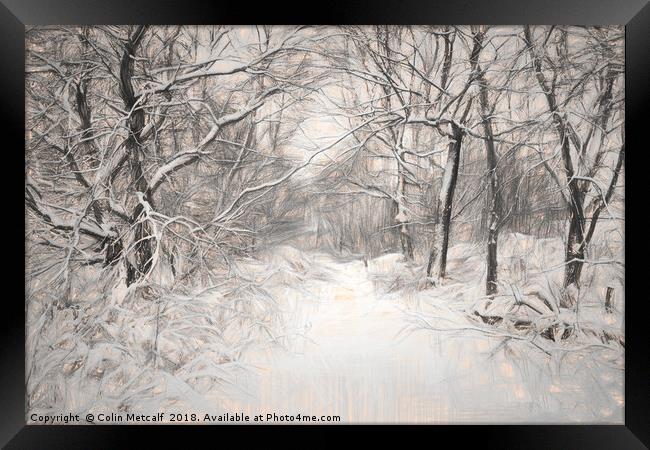 Snowy Walk Framed Print by Colin Metcalf