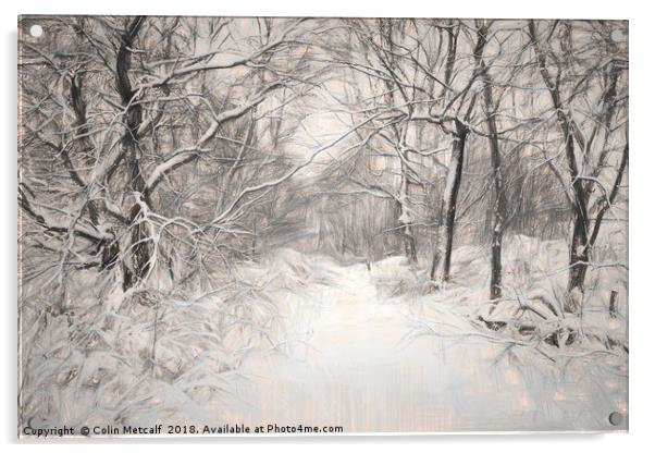 Snowy Walk Acrylic by Colin Metcalf