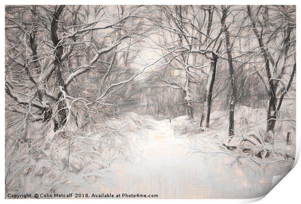 Snowy Walk Print by Colin Metcalf