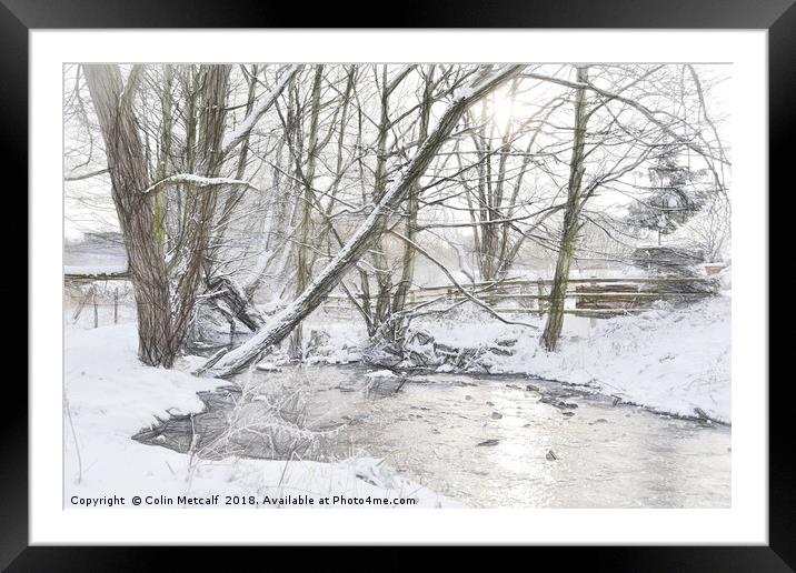 Snowy Walk Framed Mounted Print by Colin Metcalf