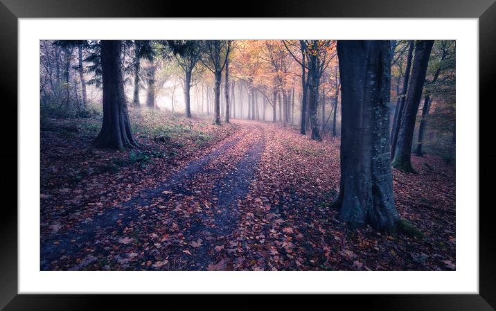 First Light Framed Mounted Print by Chris Frost