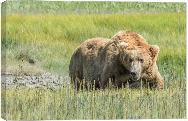 Got Swagger Canvas Print by Belinda Greb