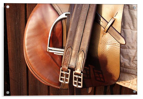 Leather Saddle Acrylic by Tony Bates