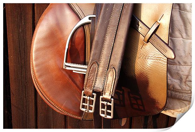Leather Saddle Print by Tony Bates