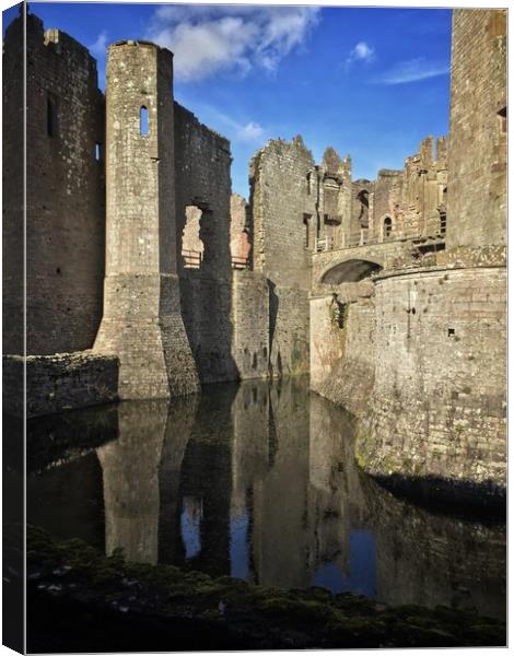 Reflected Castle Canvas Print by Neal P