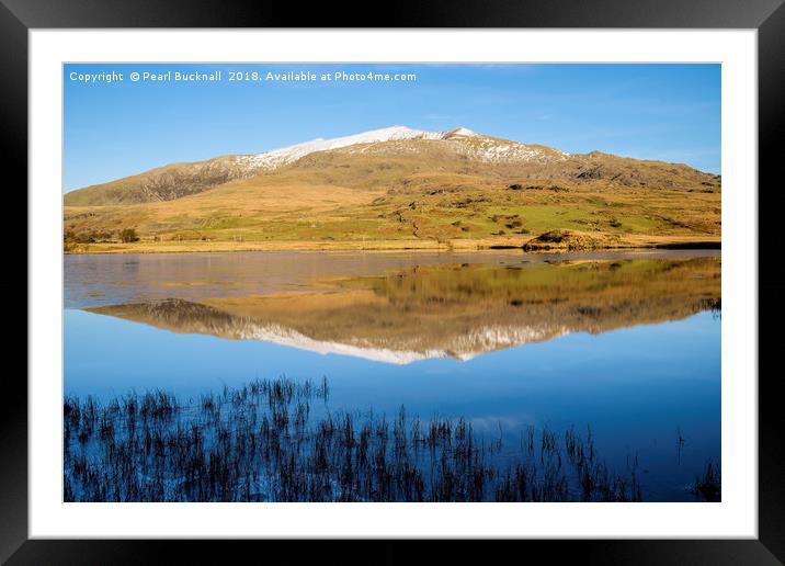 Snowdon reflection in Llyn y Gader Water Framed Mounted Print by Pearl Bucknall
