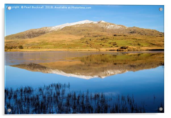 Snowdon reflection in Llyn y Gader Water Acrylic by Pearl Bucknall