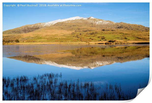Snowdon reflection in Llyn y Gader Water Print by Pearl Bucknall