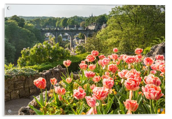 Knaresborough Viaduct  Acrylic by mike morley