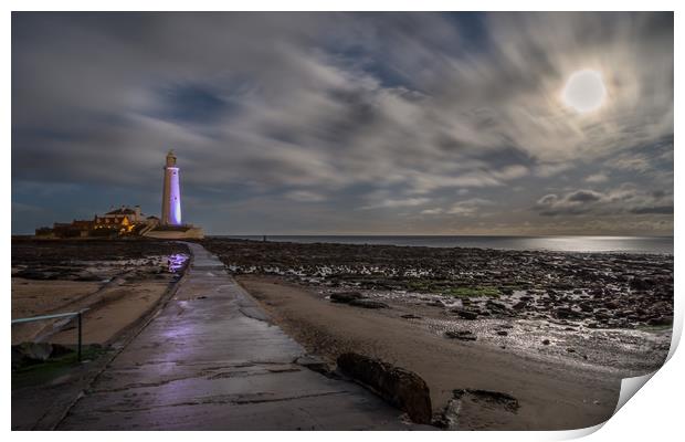 Moonlight Serenade Print by Naylor's Photography