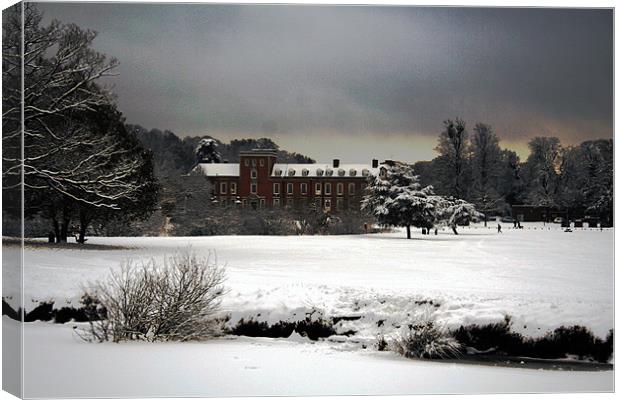 South hill Mansion in winter Canvas Print by Doug McRae