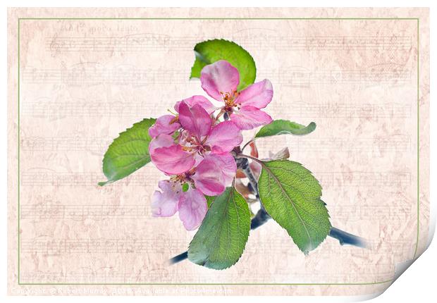Melody of Spring Print by Robert Murray