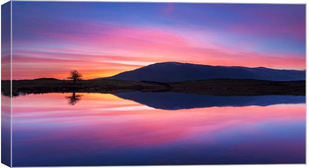 Tewet Tarn sunrise. Lake District Canvas Print by John Finney