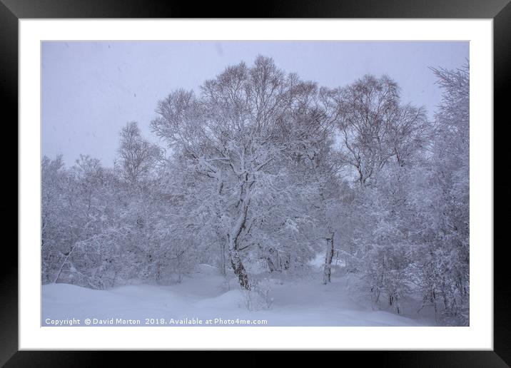 Winter Scene on approach to Creag Meagaidh Framed Mounted Print by David Morton