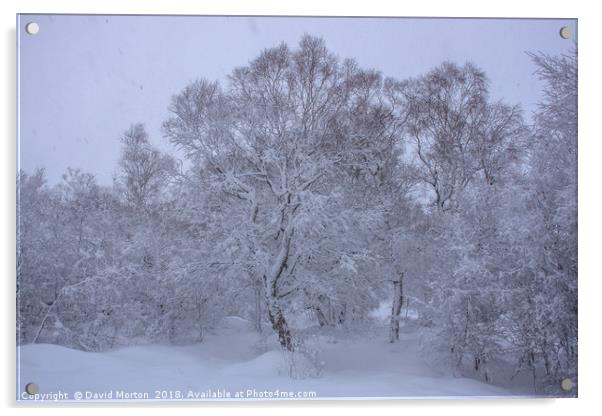 Winter Scene on approach to Creag Meagaidh Acrylic by David Morton
