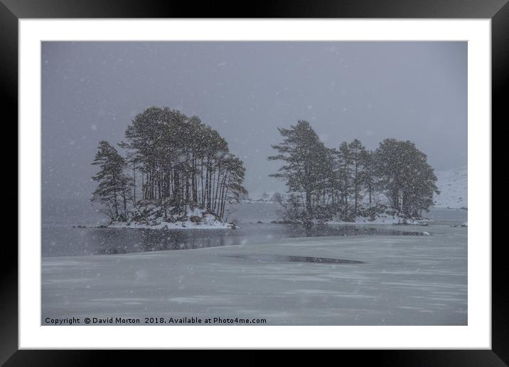 Trees on Loch Ossian in Winter Framed Mounted Print by David Morton