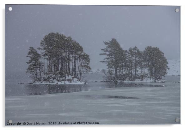 Trees on Loch Ossian in Winter Acrylic by David Morton