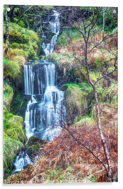 Waterfall above Loch Venachar Acrylic by Douglas Milne
