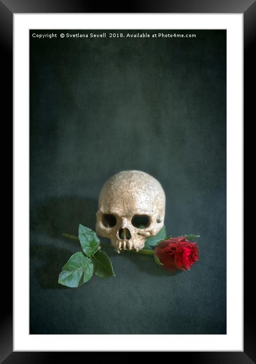 Skull and red rose Framed Mounted Print by Svetlana Sewell