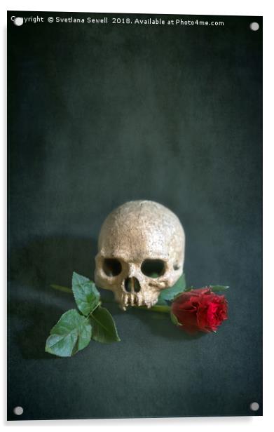 Skull and red rose Acrylic by Svetlana Sewell