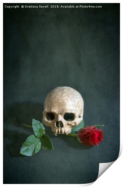 Skull and red rose Print by Svetlana Sewell