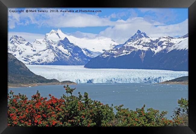 Perito Moreno Glacier  Framed Print by Mark Seleny