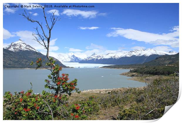 Perito Moreno Glacier and Lake Argentina.  Print by Mark Seleny