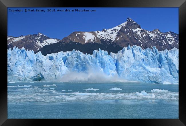 Collapsing icebergs from Perito Moreno Glacier.  Framed Print by Mark Seleny